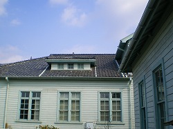 a0055835_18484267.jpg