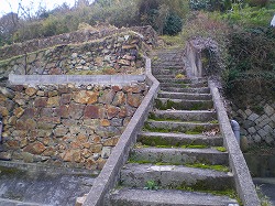 a0055835_20213490.jpg