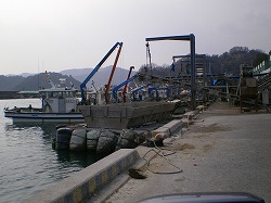 a0055835_21493534.jpg