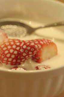 c0083439_1031857.jpg