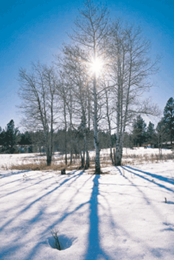 e0013640_1526742.gif
