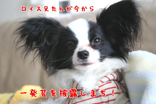 d0013149_0141857.jpg