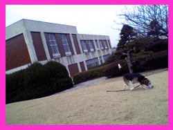 b0005652_19365915.gif