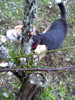 b0005652_19375418.gif