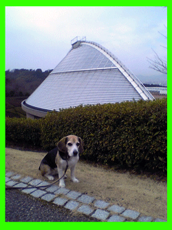 b0005652_19392735.gif