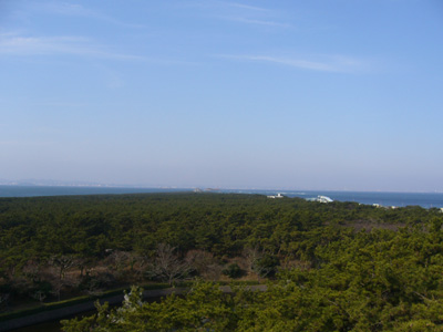 b0045357_8541985.jpg