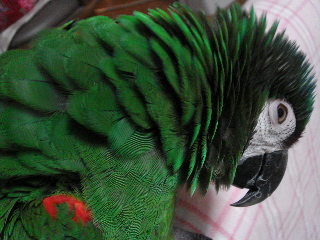 a0087164_23171772.jpg