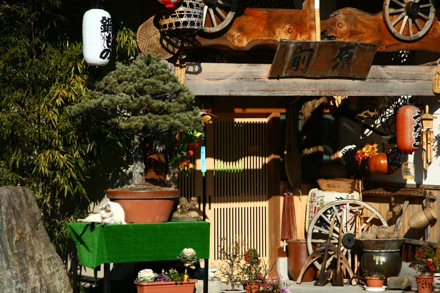 d0095967_12173612.jpg