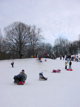 f0032969_333617.jpg