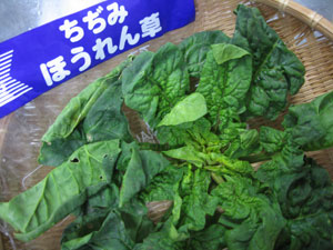 d0050871_2062277.jpg