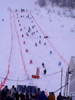 e0039871_0473693.jpg