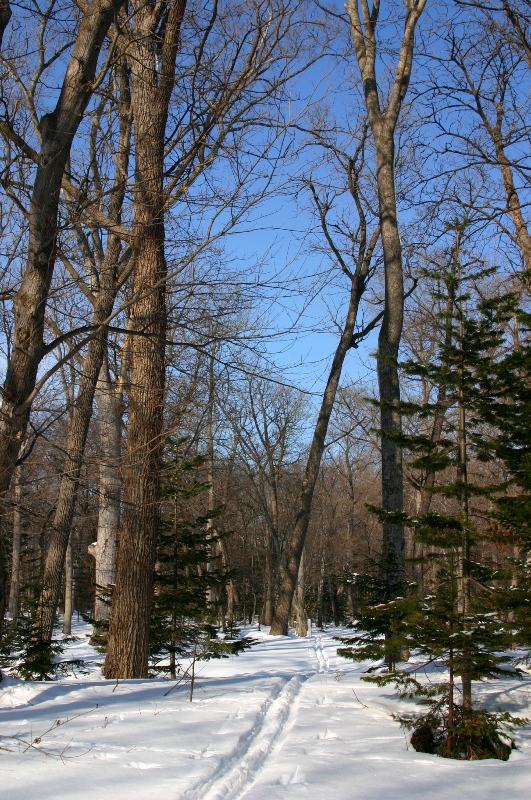 a0016775_22443424.jpg