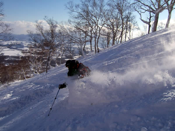 d0079579_15491111.jpg