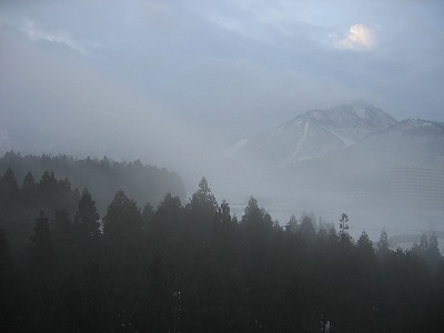 a0038882_9163117.jpg