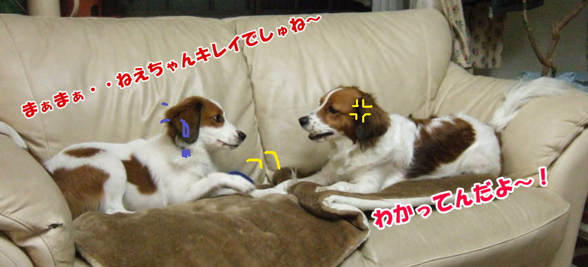 c0075585_1362553.jpg