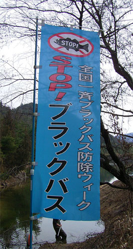 e0066586_7381620.jpg
