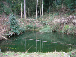 e0066586_7382277.jpg