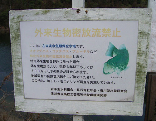 e0066586_738314.jpg