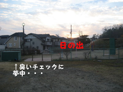 c0092787_10324532.jpg