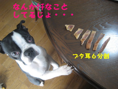 c0092787_1040097.jpg