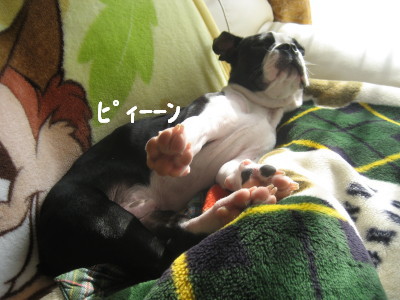c0092787_10414761.jpg