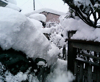 c0005988_8263748.jpg