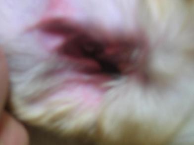 c0028792_1432341.jpg
