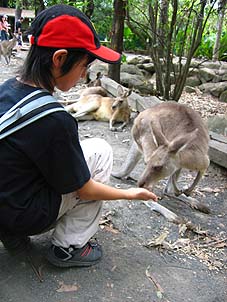 c0004193_20374285.jpg
