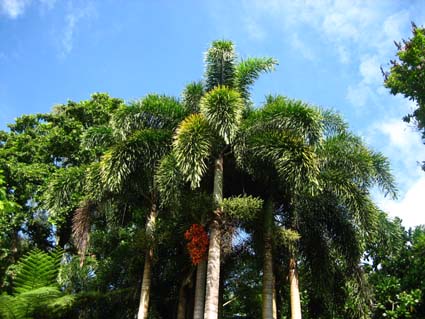 c0004193_2037964.jpg