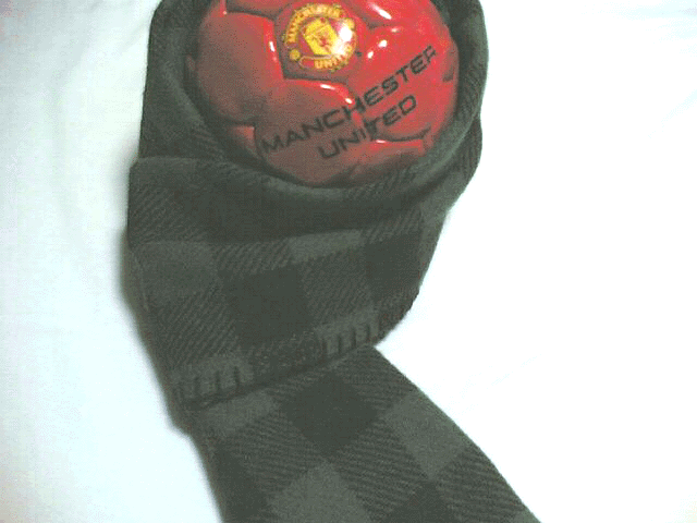c0077105_016232.gif