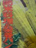 f0053615_235058100.jpg