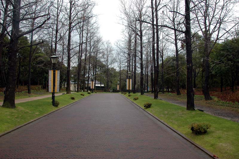 c0059521_21494391.jpg