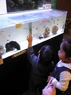 b0053433_117304.jpg