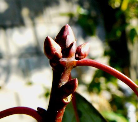 d0091754_4485940.jpg
