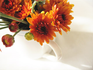 c0108366_20503820.jpg