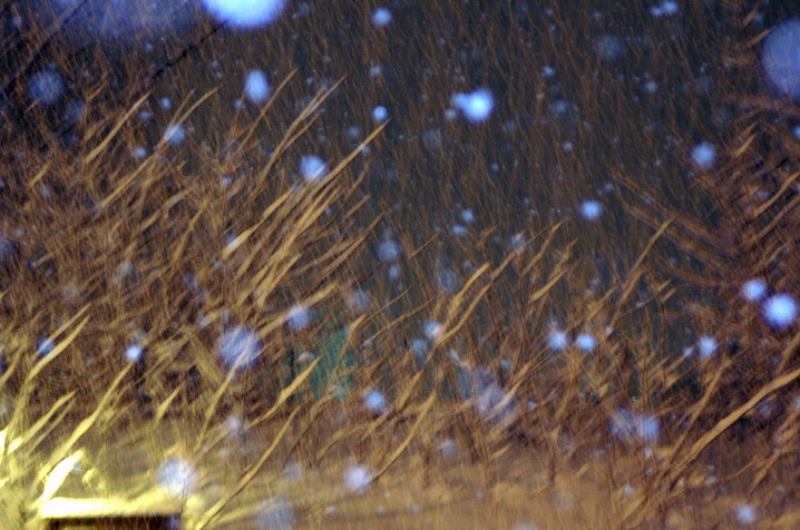 c0106977_11113768.jpg