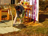 c0066687_1785744.jpg