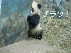 今日保存した画像を転載したり雑談したりするスレ64YouTube動画>9本 ->画像>2316枚 