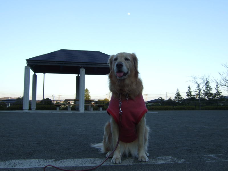 c0104492_2356738.jpg