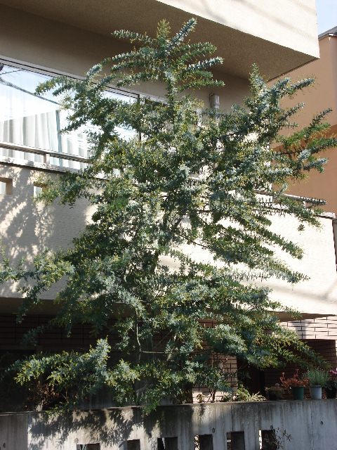 f0084806_728115.jpg