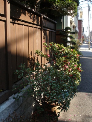 e0083212_16195244.jpg
