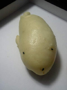 e0095517_1712715.jpg