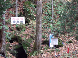 e0045319_23429.jpg
