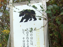 e0045319_2505760.jpg