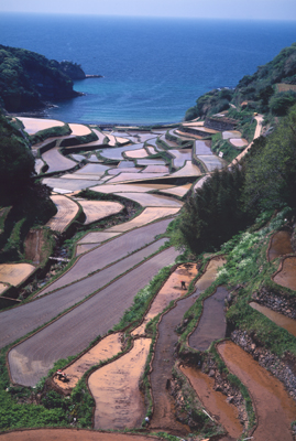 c0105722_2159385.jpg