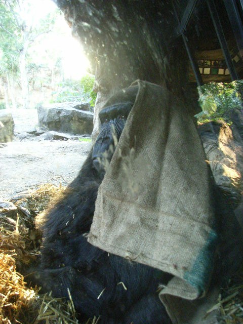 d0081025_20495582.jpg