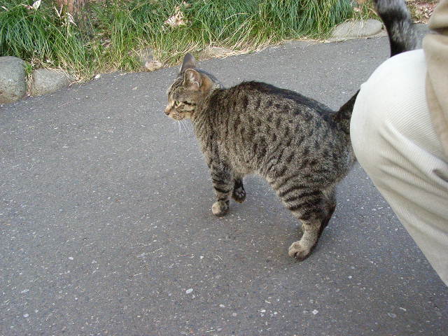 d0081025_205197.jpg