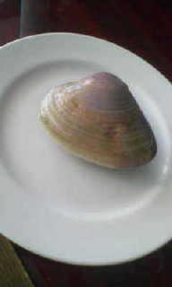 e0095325_15432879.jpg