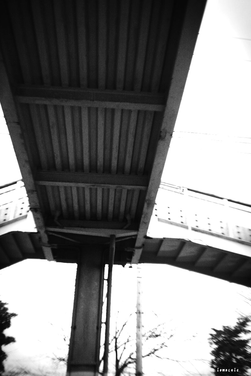 e0080128_24286.jpg