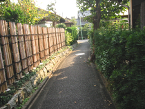 d0040729_249534.jpg
